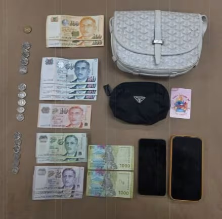 嫌犯使用窃取的信用卡资料购买电子产品和金饰等。