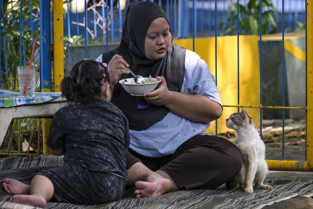 5月5日,一只流浪猫在雅加达的公园等待游客喂食。(图取自法新社) 5月5日,一只流浪猫在雅加达的公园等待游客喂食。(图取自法新社)