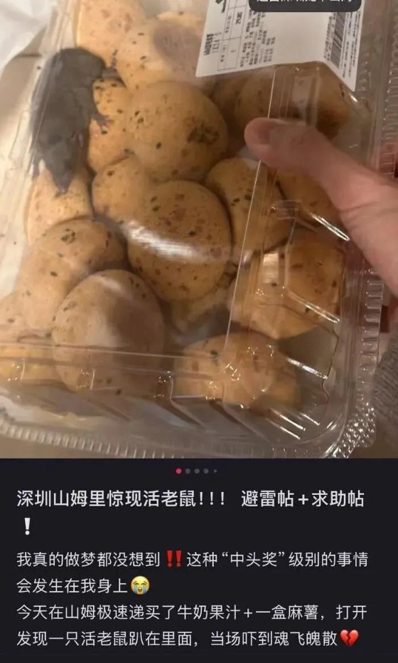 消费者发帖投诉,通过山姆App购买了麻薯,“打开发现一只活老鼠趴在里面”。(图取自网络) 消费者发帖投诉,通过山姆App购买了麻薯,“打开发现一只活老鼠趴在里面”。(图取自网络)