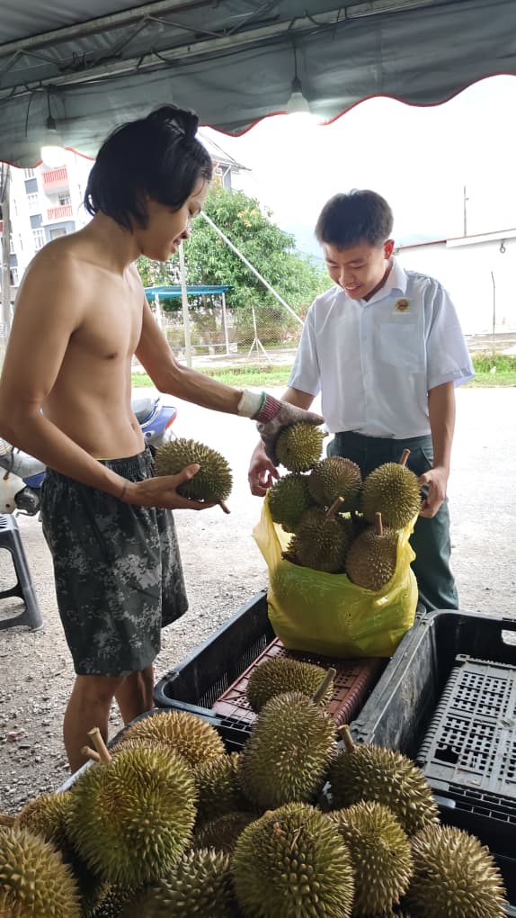 员工忙著为顾客装袋称重,现场买气火爆,顾客提著满满一袋榴梿满载而归。 员工忙著为顾客装袋称重,现场买气火爆,顾客提著满满一袋榴梿满载而归。